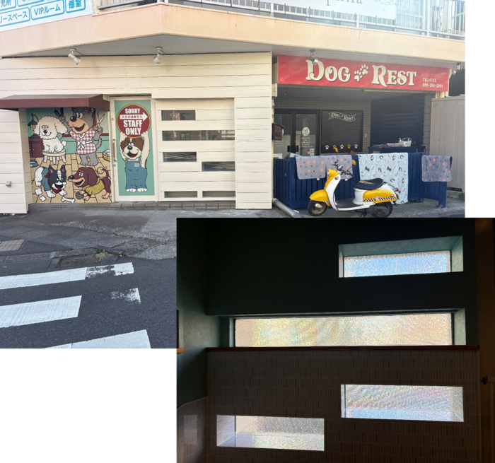 DOG REST様　目隠しデザイン系フィルム施工